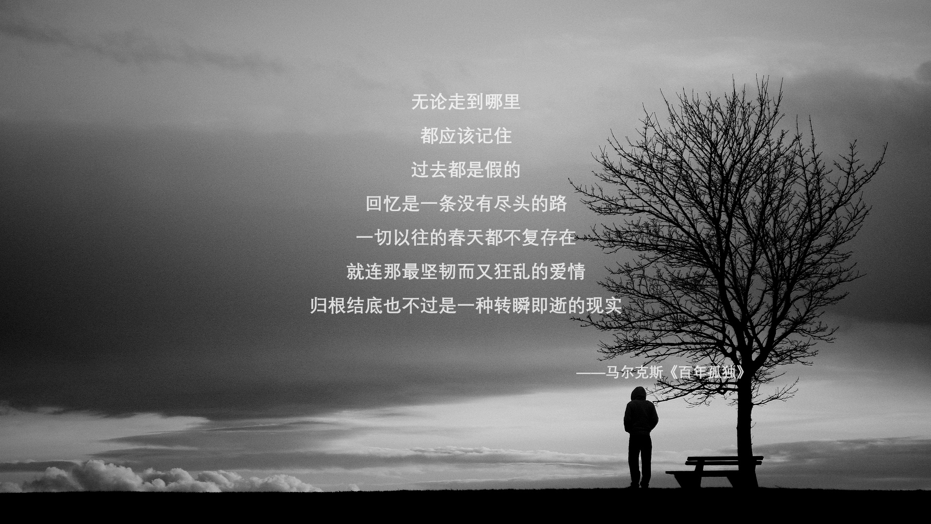 “东安湖赛场跑酷：惊险跃升，挑战极限障碍”