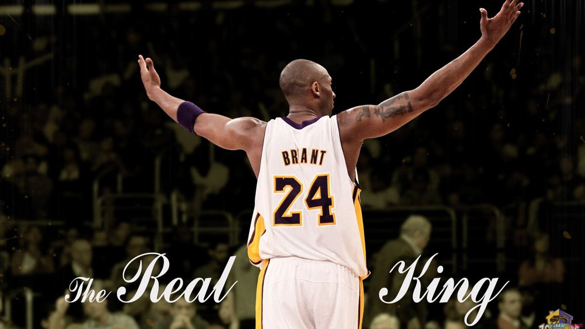 中立B男队整体划频控制能力提升